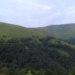 затишний будиночок Bukovets