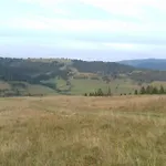 затишний будиночок Ferienhaus Bukovets