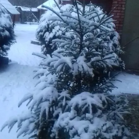 затишний будиночок * Bukovets