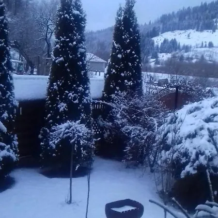 Tatil Evi затишний будиночок Bukovets