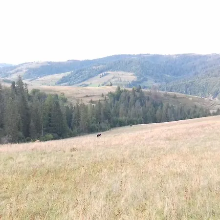 затишний будиночок Holiday home Bukovets