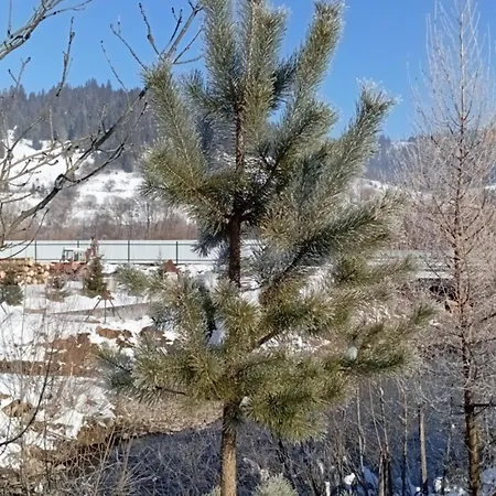 Hébergement de vacances затишний будиночок Bukovets