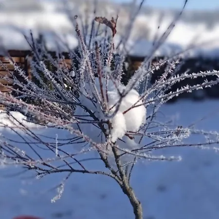 затишний будиночок