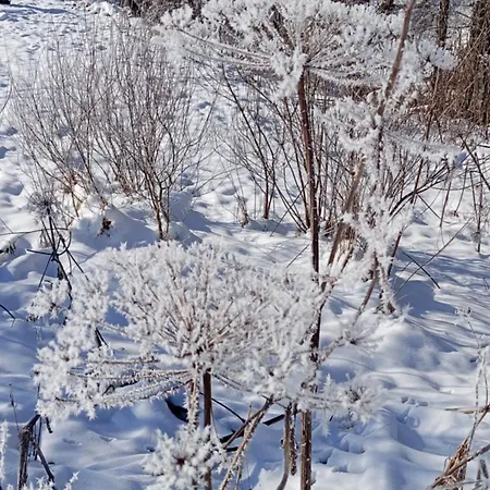 Tatil Evi затишний будиночок Bukovets