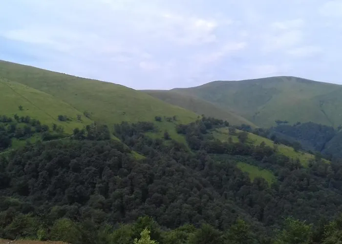 затишний будиночок Bukovets