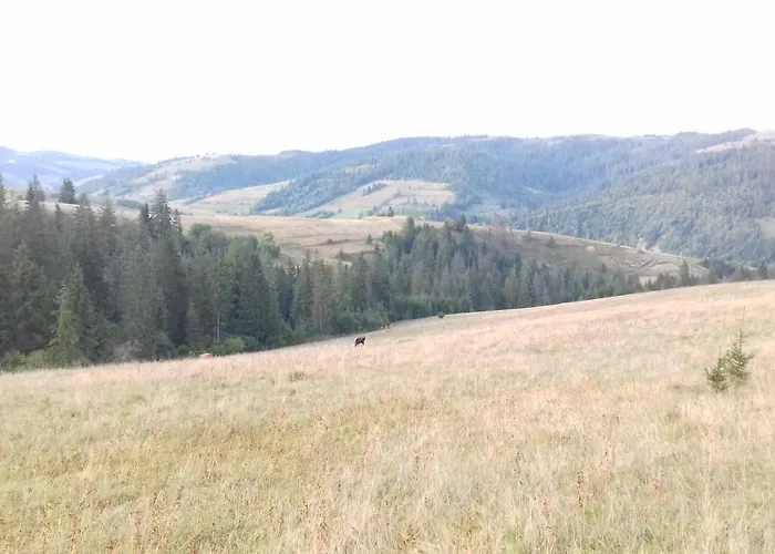 затишний будиночок Дом отдыха Bukovets